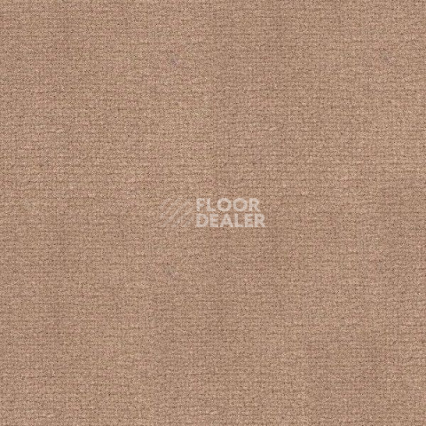 Ковролин Radici Abetone Daino 4984 фото 1 | FLOORDEALER